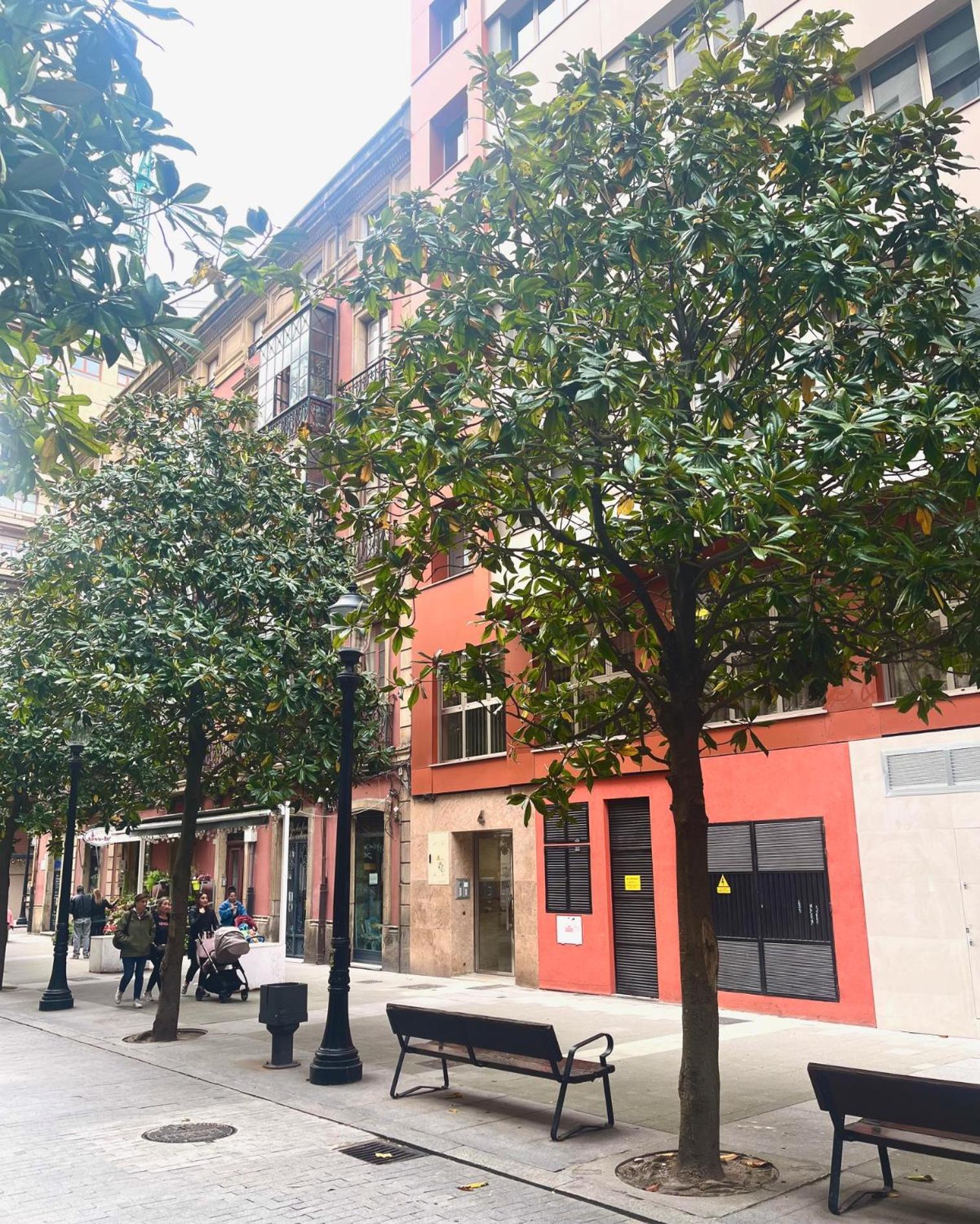 Apartmán El Mirador Del Centro Gijón Exteriér fotografie