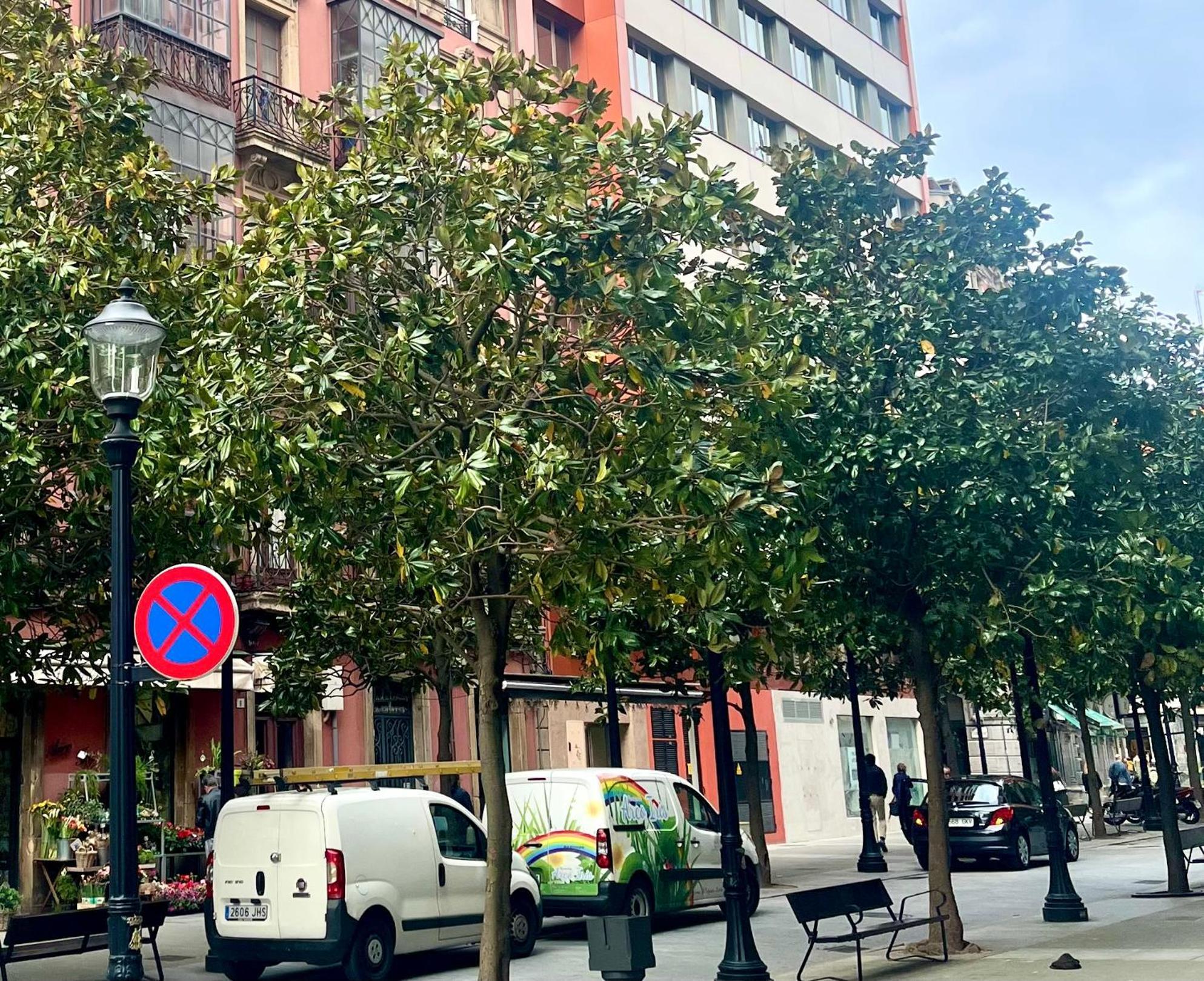 Apartmán El Mirador Del Centro Gijón Exteriér fotografie